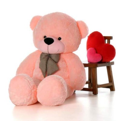 JIOkard ATIF Soft Toys , Teddy Bear Birthday Gift for Girls, Birthday Gift, Boyfriend, Husband, Wedding, for Couple Special (2 FEET 60 cm, Pink)